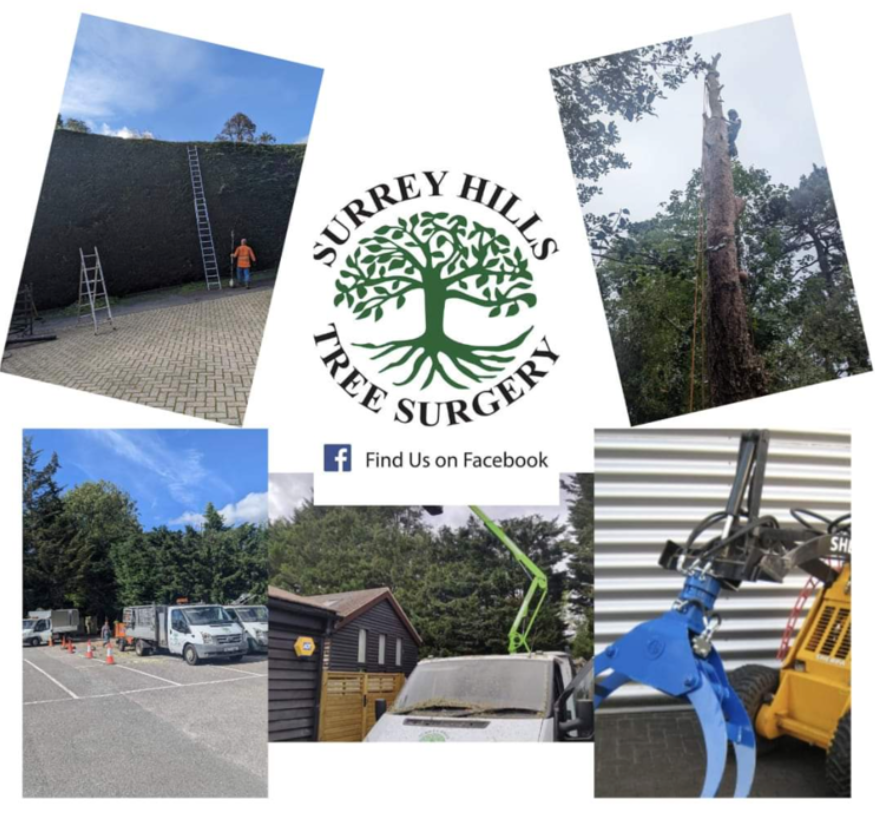 Surrey Hills Tree Surgery